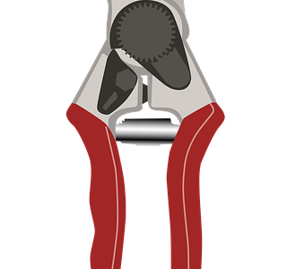 Forbici e cesoie per potatura: come scegliere le migliori, opinioni e prezzi
