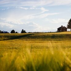 Geognostica Medicea: eccellenza nei sondaggi geognostici e monitoraggio ambientale