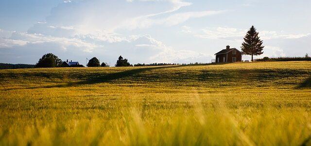 Geognostica Medicea: eccellenza nei sondaggi geognostici e monitoraggio ambientale